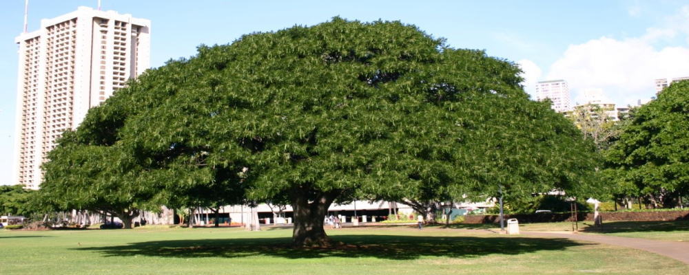 83n838f83c5s.jpg